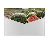 Watermelon on The Ground File Folder 6-Pocket, Waterproof Accordion File Organizer with Snap Closure, Expanding Document Holder for Office, Home