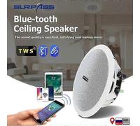 Waterproof Bluetooth Ceiling Speaker with Built-in Digital Amplifier and 10W 6 Inch Size for Home Audio EU PLUG