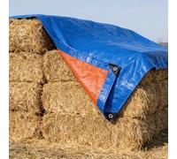 Waterproof Cover Tarp 290 x 340 cm Heavy Duty Tarpaulin Extra Heavy Duty Universal, Multipurpose for Camping, Garden, Greenhouse, Outdoor Furniture, Trailers & Sheds, Blue