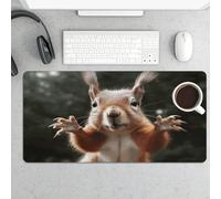 Waterproof Desk Pad 24x12 in Non-Slip Rubber Base Squirrel Funny Animal Desk Mat for Keyboard and Mouse Foldable Gaming Mousepad Large Protector for Computer Laptop Remote Work Home Office