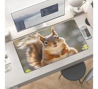 Waterproof Desk Pad 24x12 Non-Slip Rubber Funny Squirrel Mouse Pad for Keyboard & Laptop Foldable Office Computer Desk Mat Smooth Gaming Surface for Home Remote Work Desktop Accessories