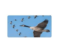 Waterproof Desk Pad Mouse Mat 24x12 Large Non-Slip Rubber Base Smooth Surface for Gaming Office Foldable Portable Wild Goose Desk Protector for Laptop Keyboard Accessories