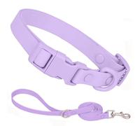 Waterproof Dog Collar and Leash Set, Purple Silicone Plastic PVC Rubber Washable Quick Release Buckle Water Swim Girl Dog Collars for Small Medium Large Pet Female Dogs, L