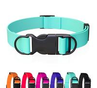 Waterproof Dog Collar, Odor-Proof and Easy to Clean Rubber Dog Collars No Pull Fits Small Medium Large Dogs Training Choker (Mint Green, Small (9.45”-14.17”))