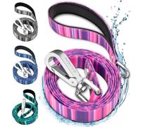 Waterproof Dog Leash - 6 ft - Washable, Stink-Proof, Dirt-Proof & Odorless - Easy to Clean, Fade & Wear Resistant - Heavy-Duty with Padded Handle & Rust-Proof Clip - Pink (1")