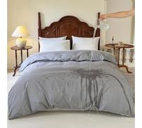 Waterproof Duvet Quilt Protector Cover Double, Single Side Waterproof Protective Cover, Hypoallergenic Anti Dust Mite Washable Protector with Zip Closure(Grey, 200 * 200cm)