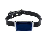 Waterproof Fitness Big Collar Tracker Dog Tracking Locator Cat Pet For Real-Time