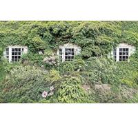 Waterproof Garden Wall Mural English Cottage Window with Blooming Pink Flowers and Green Vines, Outdoor Decorative Curtain for Fence and Patio W118.11 inches x H70.87 Inches