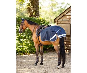 Waterproof Hindquarters Covers LeMieux Arika