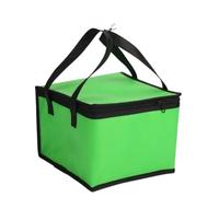 Waterproof Insulated Bag Cooler Bag Insulation Folding Picnic Portable Ice Pack for Food & Grocery Delivery Bag Hold(Green-8inch)