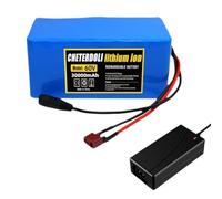 Waterproof Lithium-Ion Electric Bike Battery,Electric Bike Conversion Kit,Lithium Ion Battery with Charger,for Electric Bicycle Scooter T+DC
