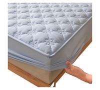 Waterproof Mattress Protector, Quilted Fitted Sheet Cover, Thickened Non-Slip Design, Sky Blue Flower Pattern, 100x200x28cm, Quiet Sleep Solution