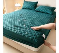 Waterproof Mattress Protector,Quilting queen fitted sheet only with Deep Pocket Full-Wrap Elastic,Soft Dirt-Proof Mattress Coverfor Adults & Dorm Living Machine Washable(Green,200x220cm)