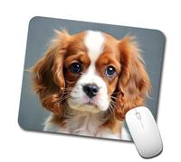 Waterproof Mouse Pad Cavalier King Charles Spaniel Dog Puppy Photo Gaming Mousepad Desk Mats 25x30cm for Work,Office,Home