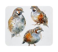 Waterproof Mouse Pad Watercolor Common Quails Mouse Mat Keyboard Pad 25x30cm for PC,Home,Computer