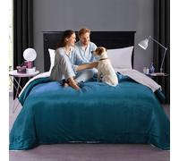 Waterproof Queen Size Blankets for Bed Absorbent 60''x80'', Water Proof and Stain Resistant Coach Cover, Water Resistant Throw Blankets, Soft Leakproof Sherpa Mattress or Furniture Protector (Blue)