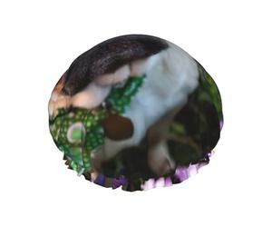 Waterproof Reusable Pugs In The Garden Print Shower Cap,Double Layer Elastic Bath Cap,Large Shower Bonnet For Women Long Hair