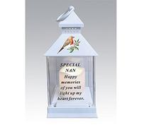 Waterproof Robin Memorial Graveside Lantern with LED Candle (Nan)