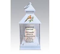 Waterproof Robin Memorial Graveside Lantern with LED Candle (Someone Special)