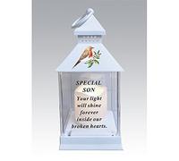 Waterproof Robin Memorial Graveside Lantern with LED Candle (Son)
