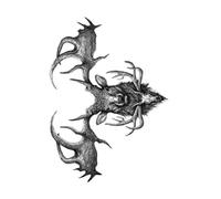 Waterproof Tattoo Sticker Tiger Skull Dragon Flower Body Arm Sleeve Man Women(210 * 148mm)(005)