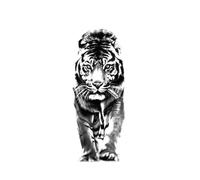 Waterproof Temporary Tattoo Sticker Black Dragon Tattoos For Women Men Snake Rose Body Art Fake Tatoo Arms Tattoo(003)