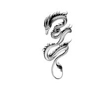 Waterproof Temporary Tattoo Sticker Black Dragon Tattoos For Women Men Snake Rose Body Art Fake Tatoo Arms Tattoo(002)