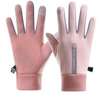 Waterproof Winter Gloves Thermal Lined Windproof Touch Screen for Outdoor Running Cycling Hiking Cold Protection Large(A)