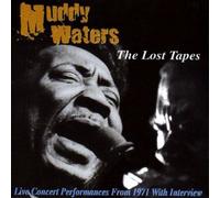 Waters, Muddy - Journeyman Blues