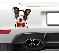 WaterShed Designs Boston Terrier dog lover Decal Sticker Bumper or window sticker/decal Carriage Dog Spotted Coach Dog Leopard Carriage Dog Firehouse Dog Plum Pudding Dog