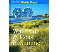 Waterside & Coast In Summer