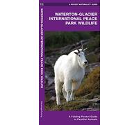 Waterton-Glacier International Peace Park Wildlife: A Folding Pocket Guide to Familiar Species (A Pocket Naturalist Guide) (Pocket Naturalist Guide Series)
