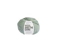 WATG Wool And the Gang Crazy Sexy Wool 200g 80m 87yd - Eucalyptus Green