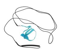 WATIIFUFU Adjustable Accessories Harness Rope with Parrot Elastic and Metal Clip, Small Training Kit with Cartoon Wings for Convenient Bird Flying Bird Outdoor