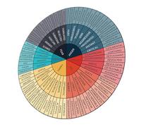 WATIIFUFU Feelings Wheel Vinyl Sticker Emotion Chart Print Vibrant Colors for Mental Health Therapy Classroom Decor Laptop Fridge Wall Adhesive Educational Emotion Wheel Decal