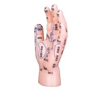 WATIIFUFU Reflexology Hand Learning Model for Tcm Education Hand Massage Simulation Display with Accurate Zones for Laboratories and Training