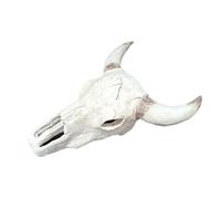 Watreketal Artificial Hallowed Cave Hideouts FishTank Decorations for Aquarium Terrarium Shrimp Hideouts Ornament Aquarium Decorations Large