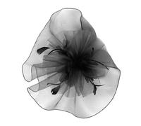Watreketal Headband,Privacy Face Veil Comfortable Headpiece Professional Facials Veil Photography Accessory for Entertainment Industry
