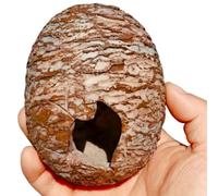 Watreketal Low-Maintenance Dinosaur Shelter With Adjustable Entrance & Shedding Aid For Terrarium Habitats Multiple Pet Cage Cave Deck