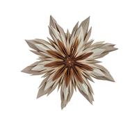 Watt & Veke Marta Christmas Star Ø44 Brown