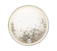ＡＷＨＡＯ Wave Beads Seed Drum 6 Inch Educational Music Tool, Sea Sound Percussion Gift for Children And Adults