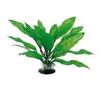 WAVE Echinodorus Bleheri Plant Classic, Large
