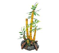 Wave Japan Bamboo Plant