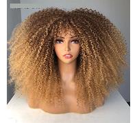 Wave Lace Front Wigs Short Hair Afro Kinky Curly Wig With Bangs Loose Synthetic Cosplay Fluffy Natural Wigs for Women Natural Synthetic Hair Wigs(01)
