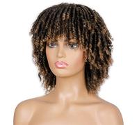 Wave Lace Front Wigs Soft Short Synthetic Wigs for Black Women 14 inch High Temperature Fiber Crochet Twist Hair Natural Synthetic Hair Wigs(H)