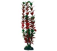 WAVE Ludwigia Palustris Plant Classic, X-Large