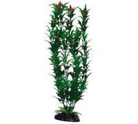 WAVE Plant Classic Egeria Flowers, Medium
