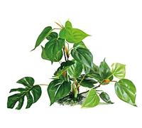 WAVE Plant Replica Anubias, 30 cm