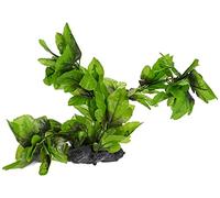 WAVE Plant Replica Hygrophila, 30 cm