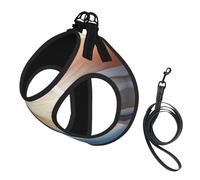Wave Stripe Print Dog Harness Reflective Pet Vest Harness Puppy Harnesses Leash Set,For Walking Training